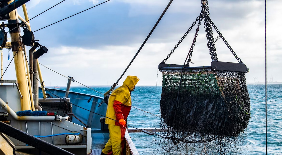 fisheries-seafood-ocean