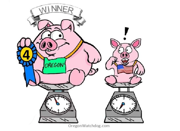 toon-pig-spend-rank4