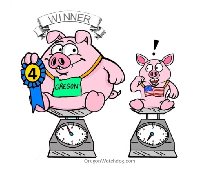 toon-pig-spend-rank4